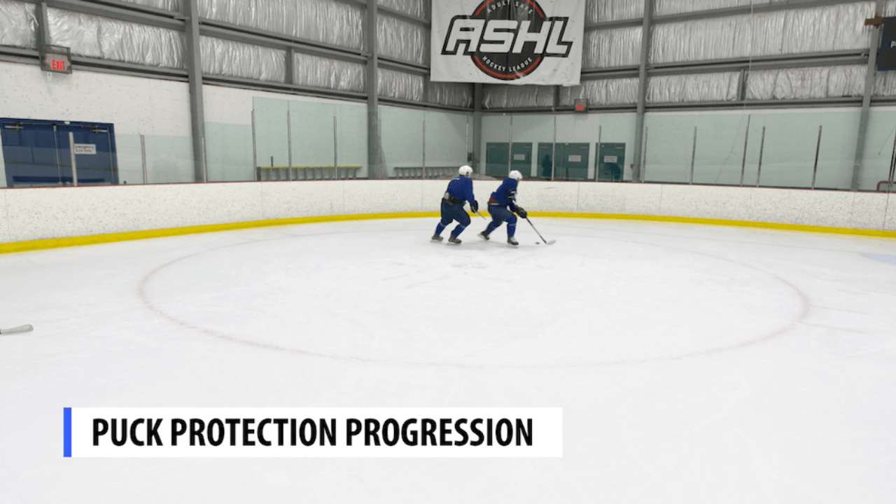 Puck Protection Progression